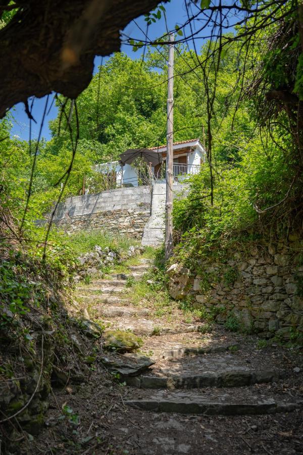 Вилла Pelion House With Stunning View To Relax Визица Экстерьер фото